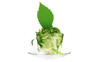 浓茶和绿茶怎么区分