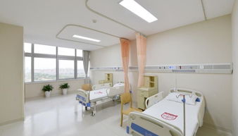 日本病房的护士动画片