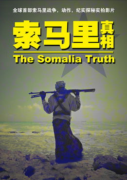 重返索马里电影高清