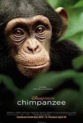 传奇猩猩电影完整版