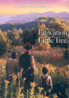 小树的故事 电影免费观看